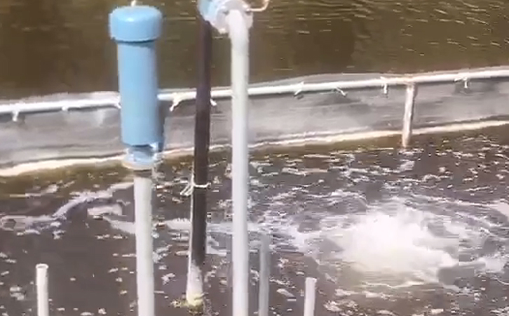 污水處理 污水處理