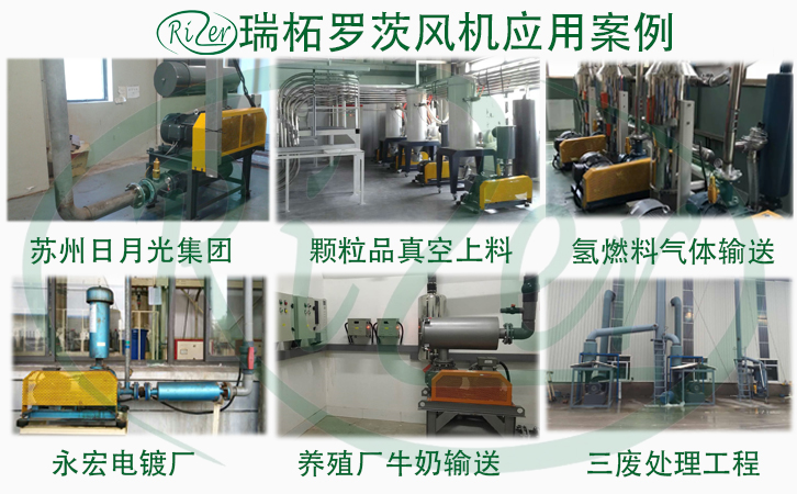 上海廠家直銷魯氏牌三葉羅茨鼓風(fēng)機(jī)