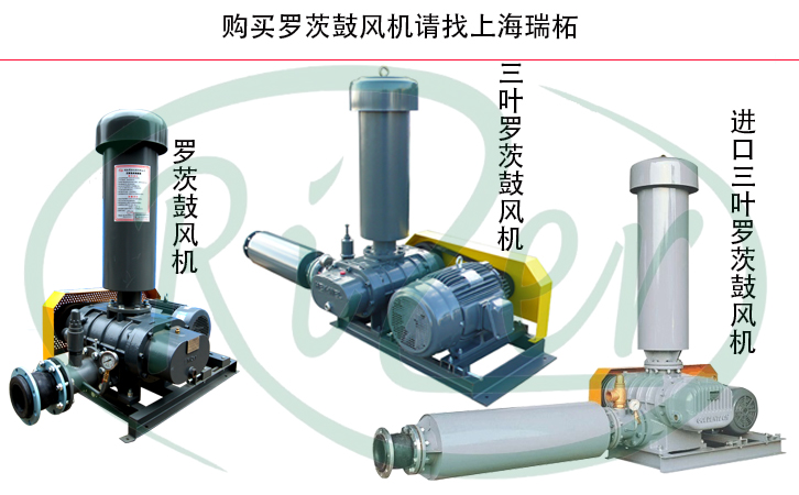 高壓羅茨鼓風機